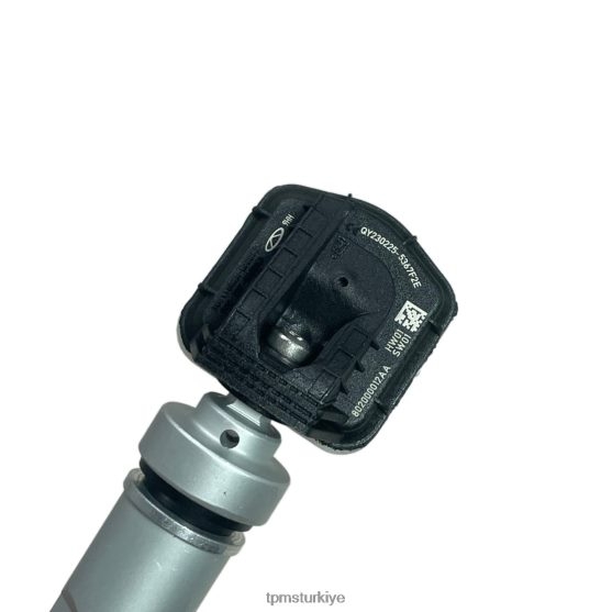 00XX641241 TPMS türkiye tpms chery lastik basınç sensörü 802000012aa
